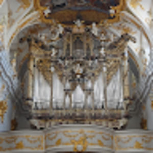 Meet your Posher, Aubree